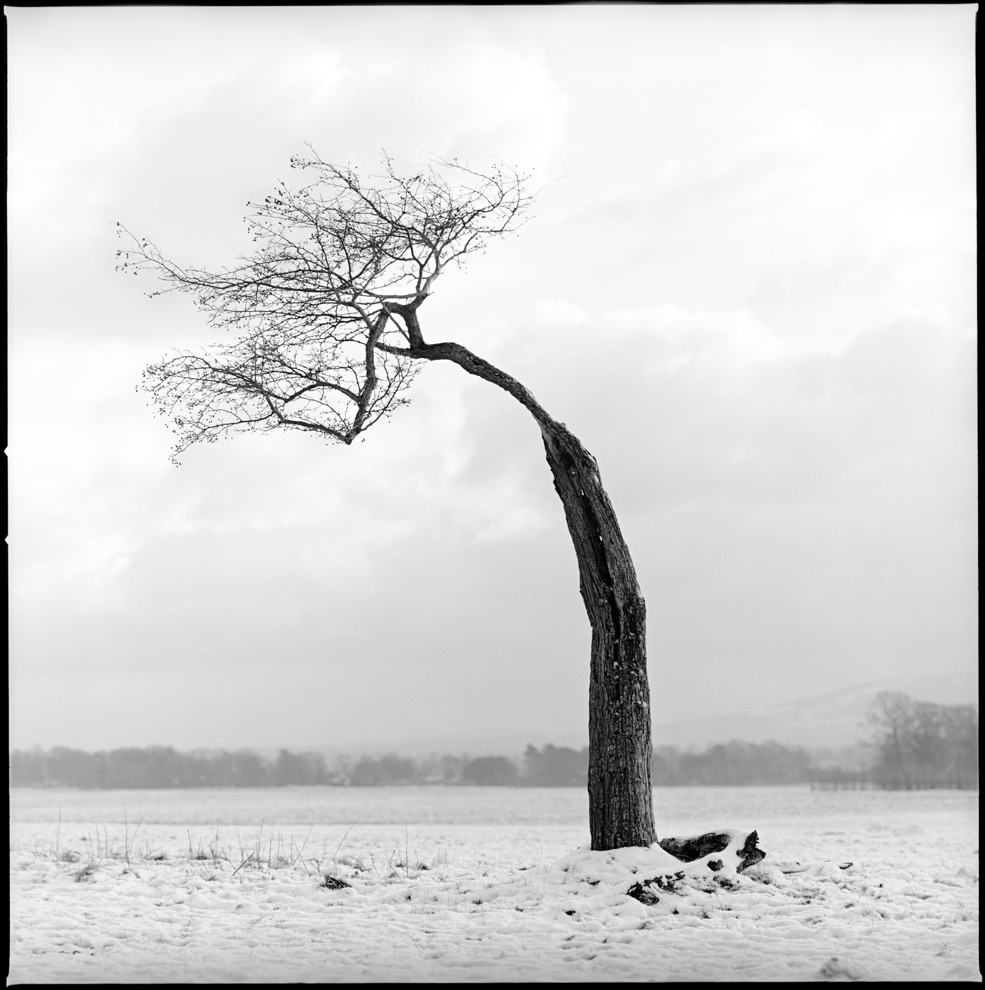 35x35: 1-10:Emer&amp;Conor - 18x18: 1-30: Erling Valtyrson