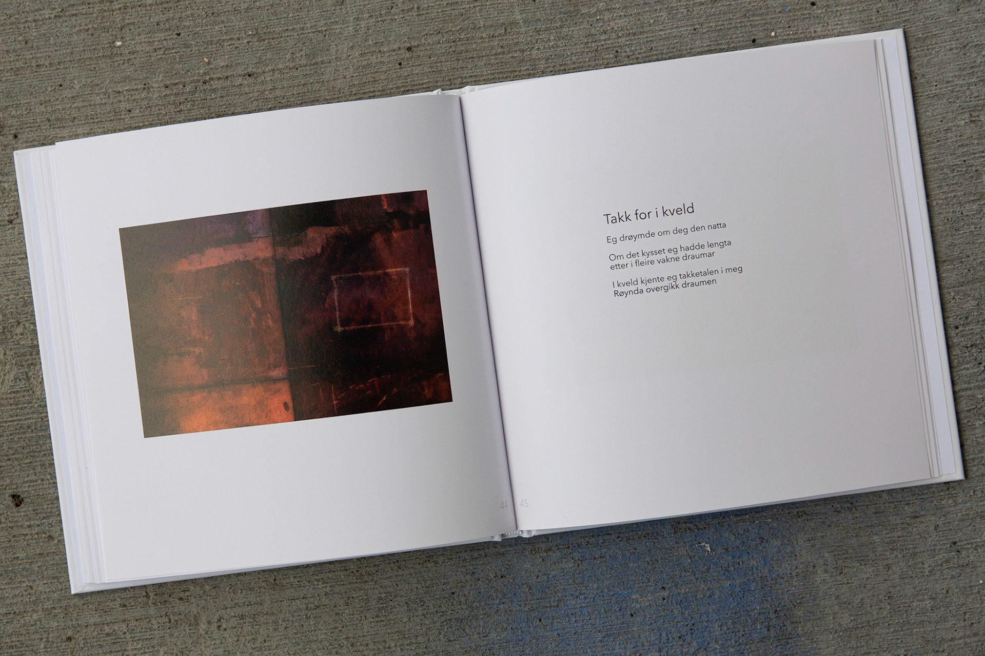 Illustrasjon fra "Tilfluktsrom"