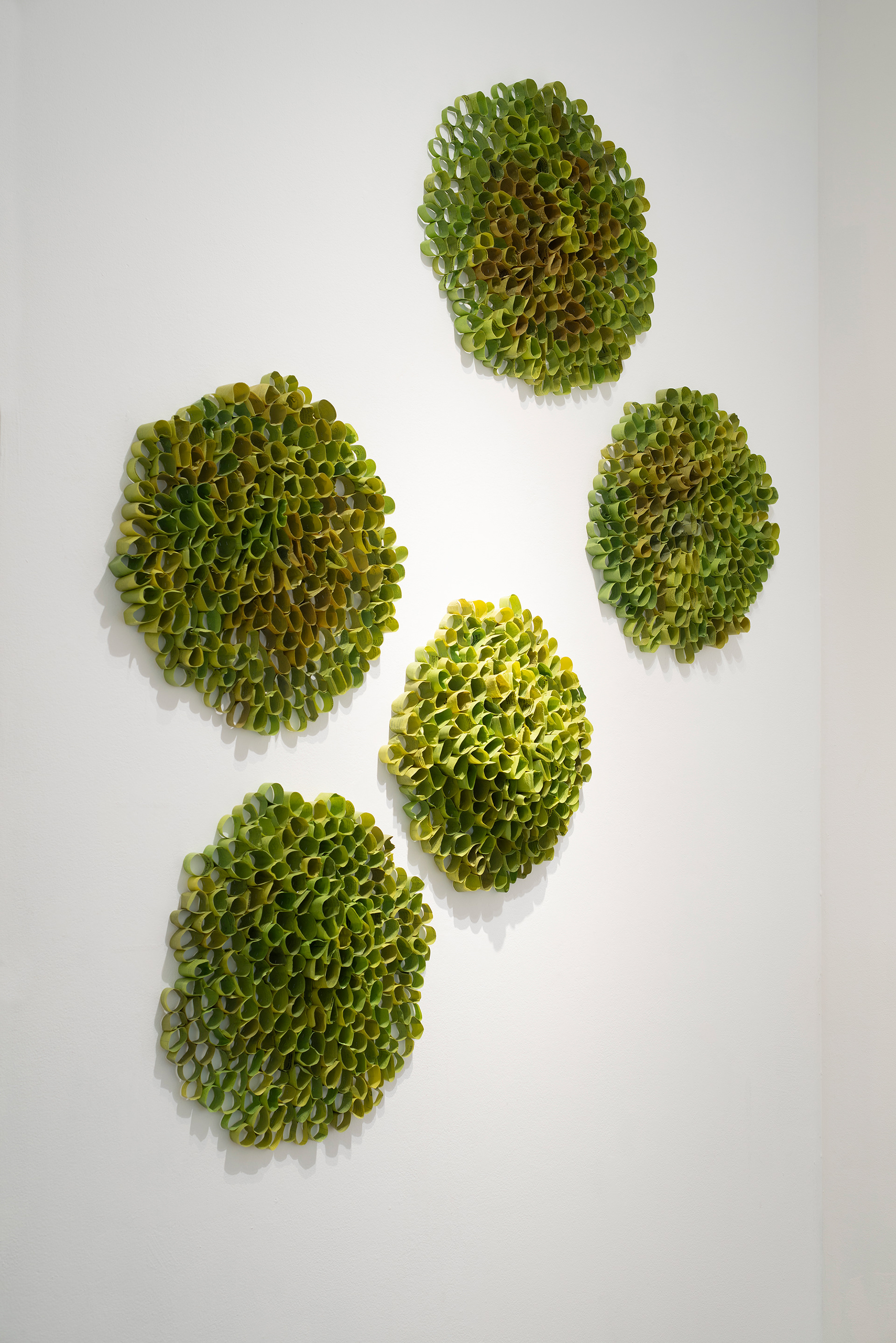 Metamorphosis, 2025, Fused Plastic and staples, 66” x 78” x 4”, Installation View
