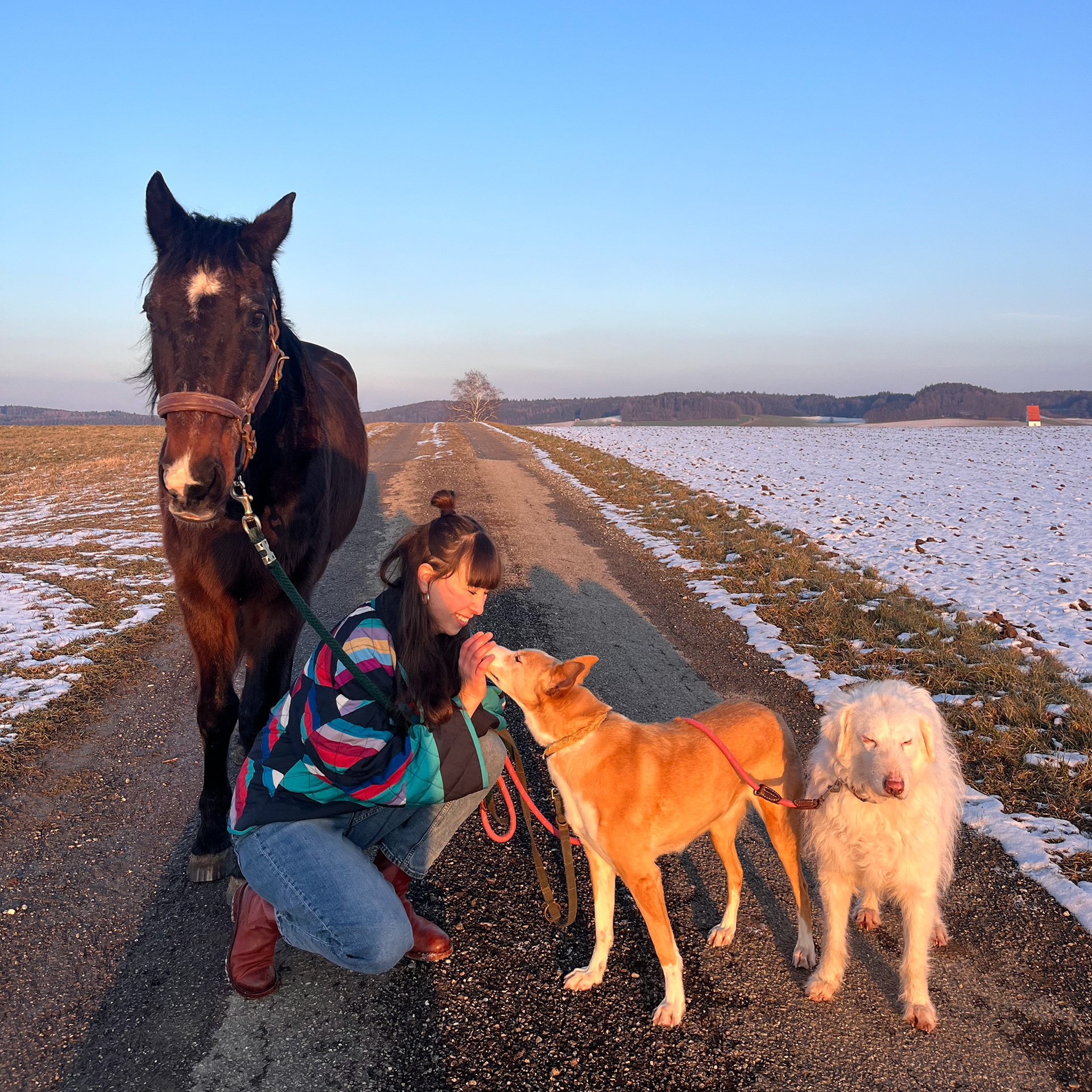 Freda Rossmanith mit Hund und Pferd