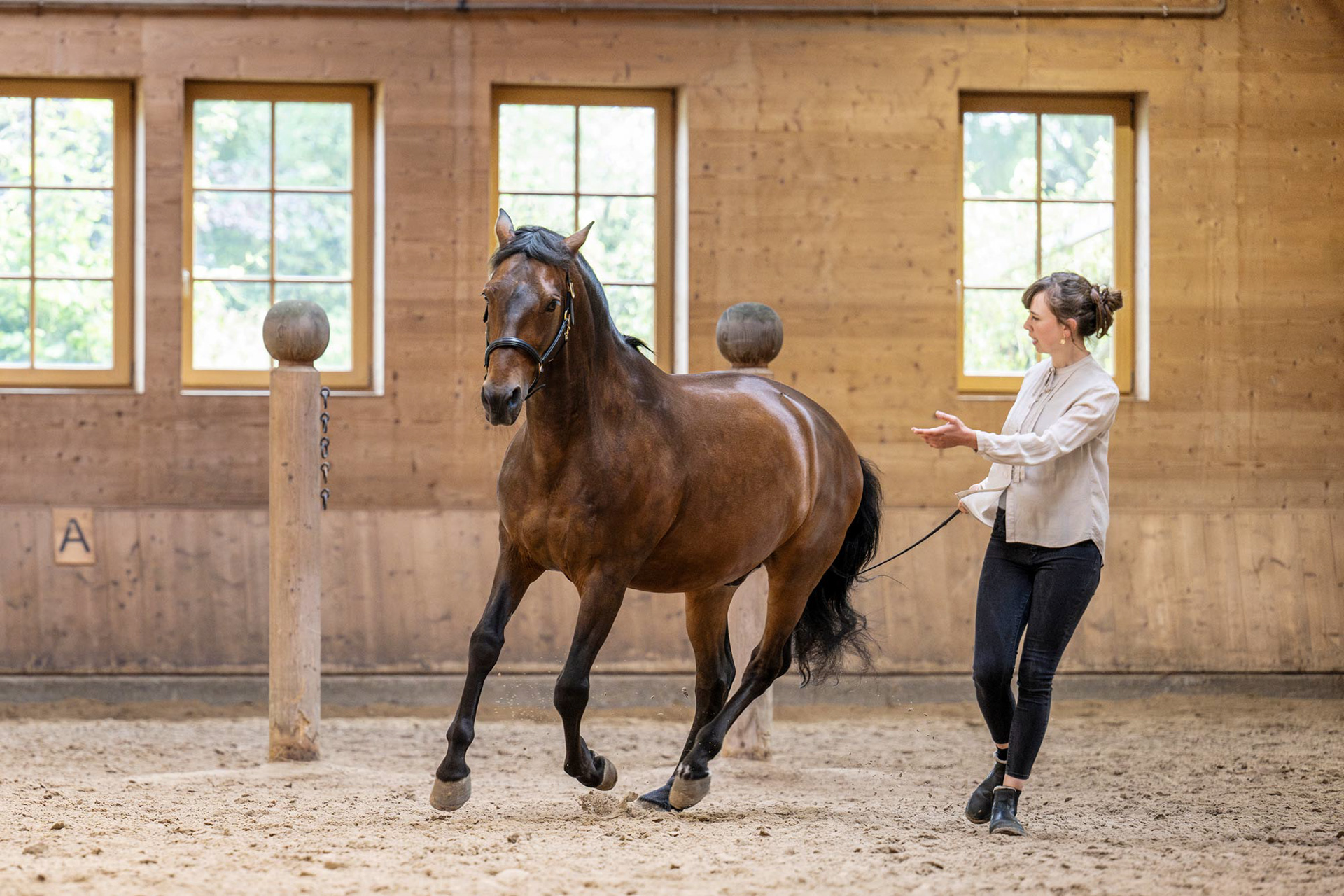 Freda Rossmanith - Freiheitsdresur und Bodenarbeit