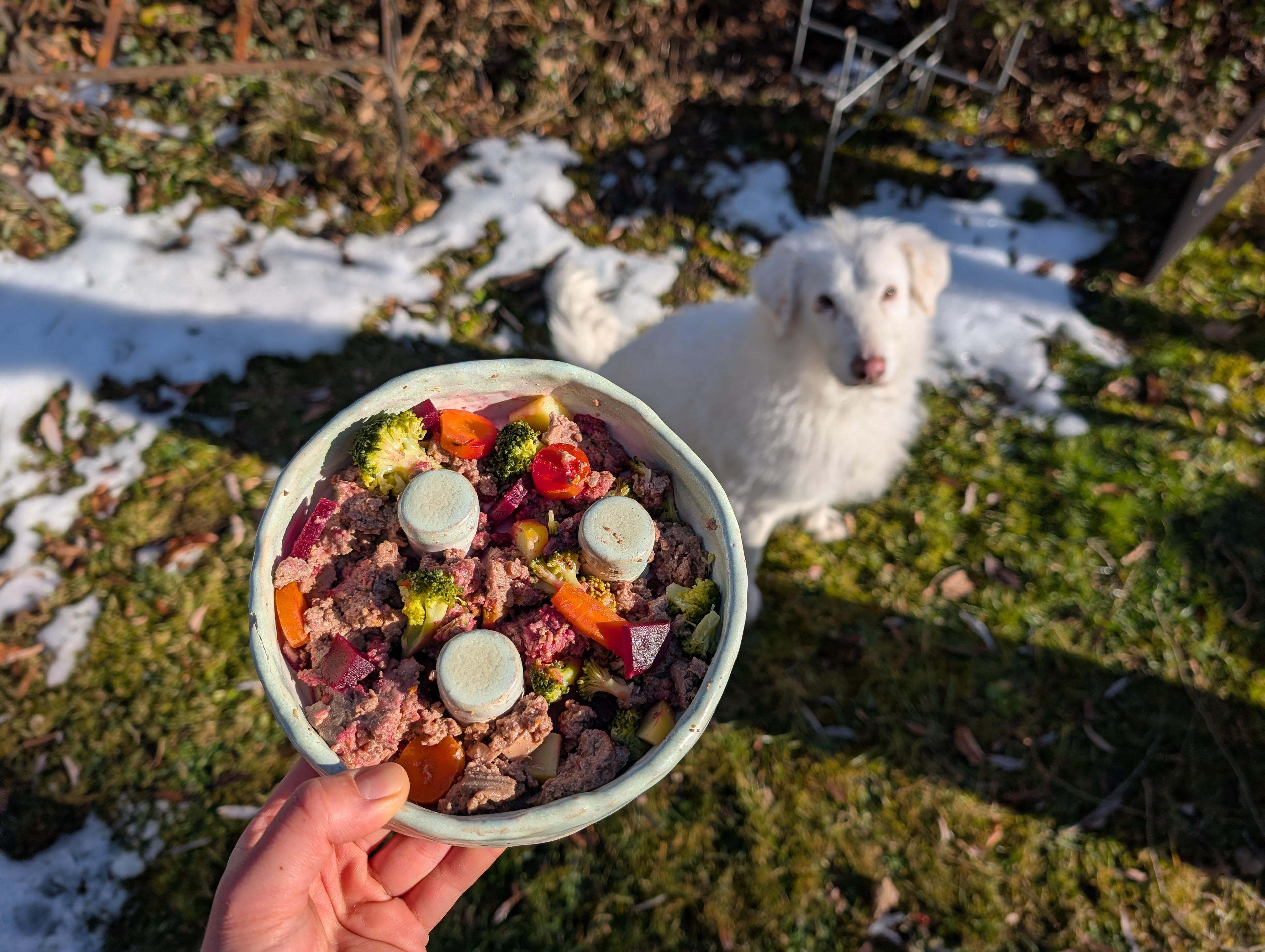Freda Rossmanith - Tiernaturheilkunde