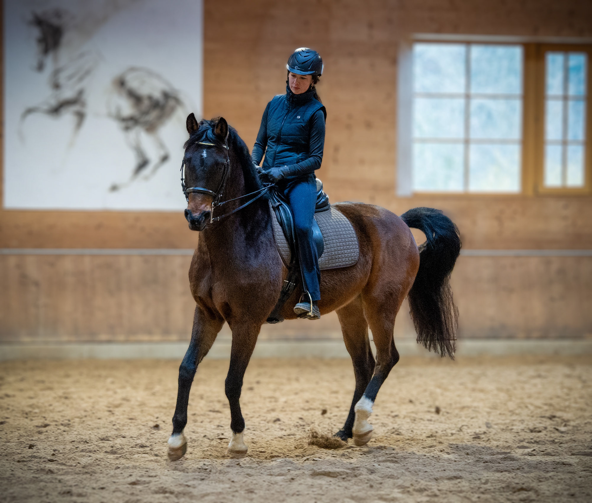 Freda Rossmanith - klassische Dressur