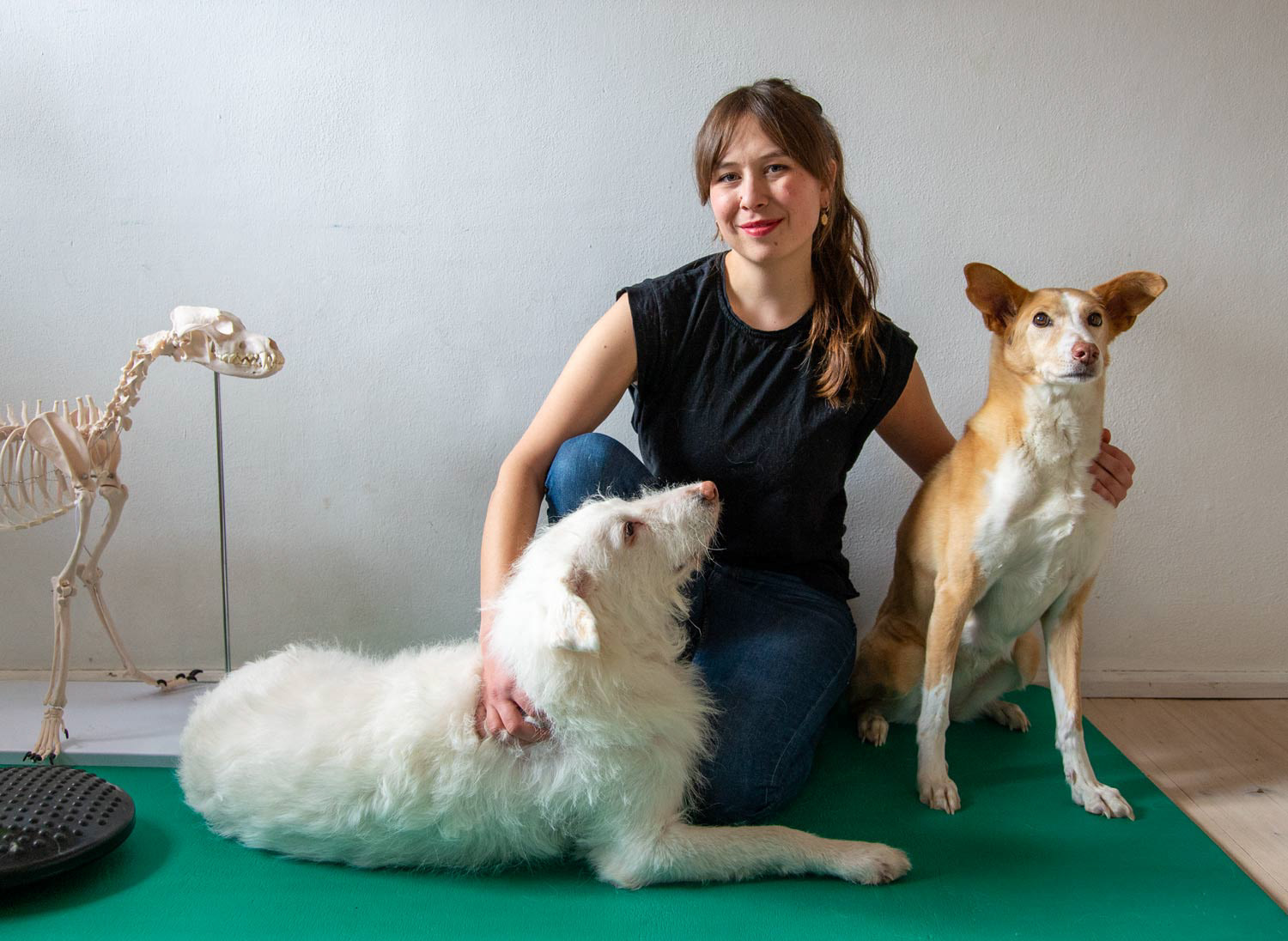 Freda Rossmanith -  Physiotherapie für Hunde und Pferde