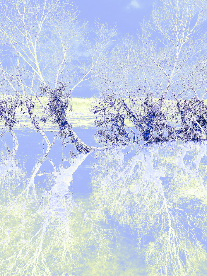 Immersion in oneself