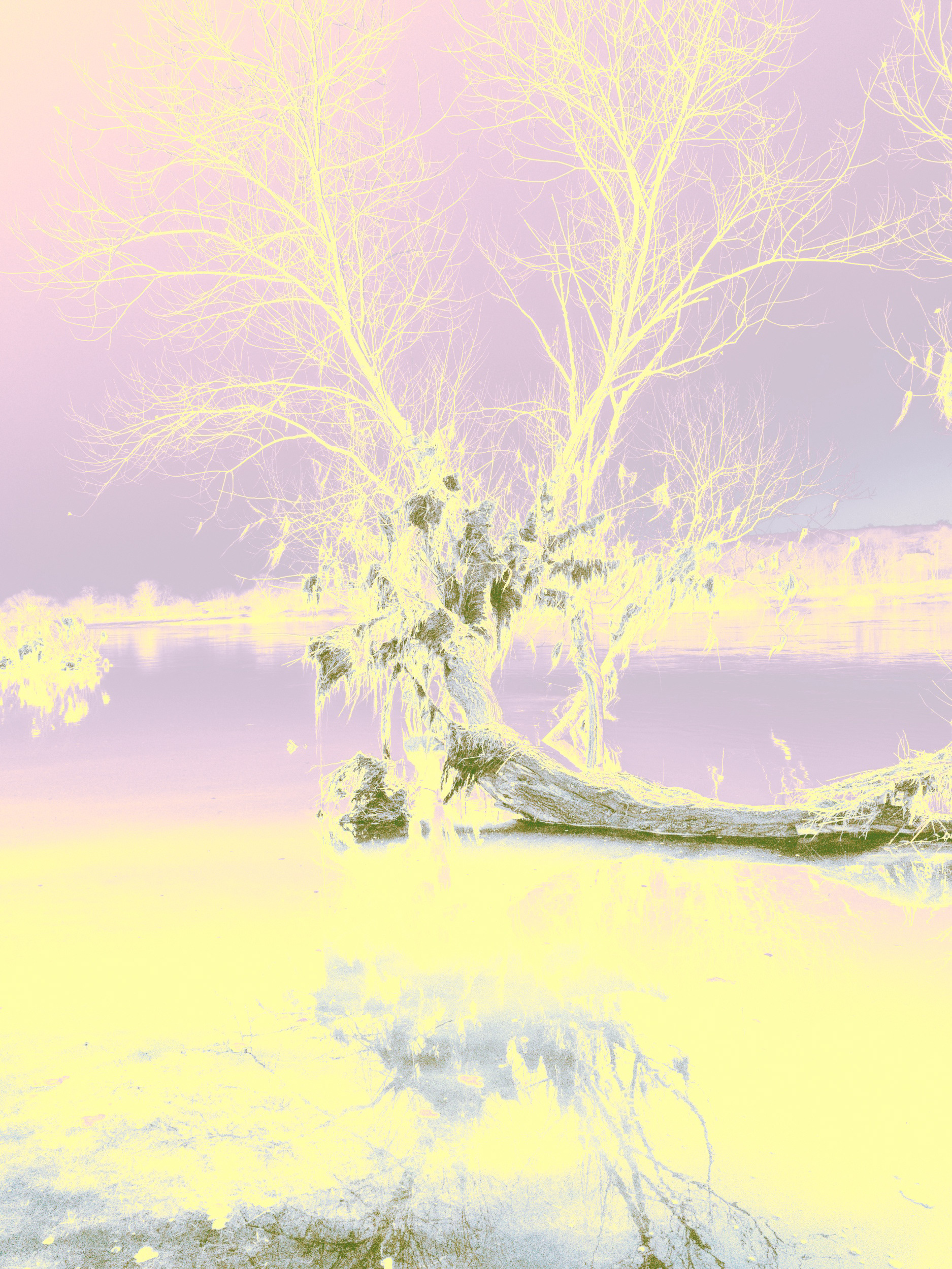 Immersion in oneself
