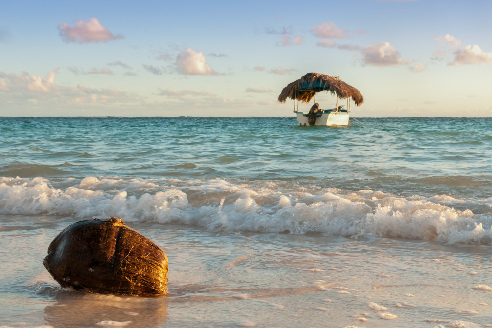 Coconut on tropical beach