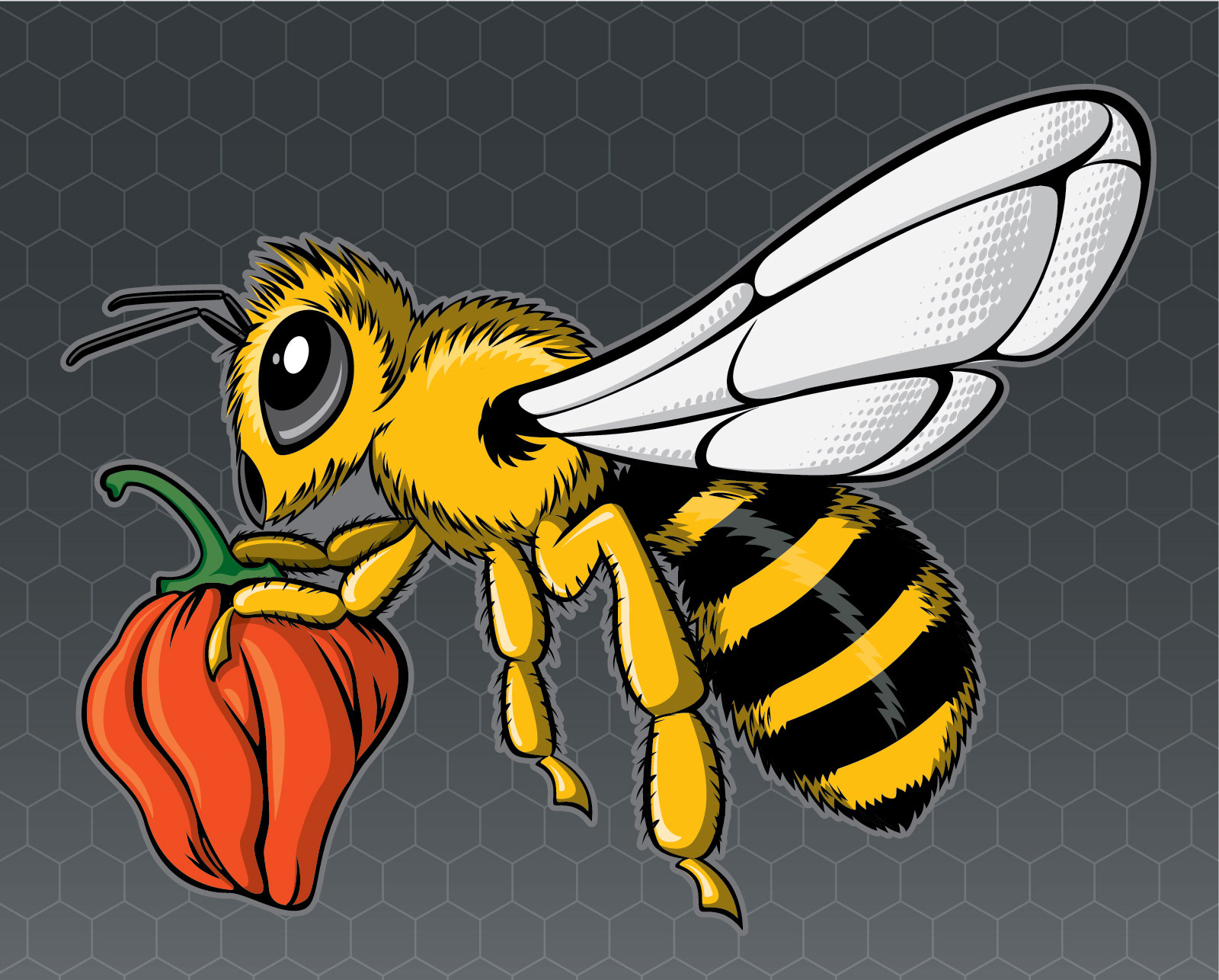 Illustration for High Hops Brewery's "Honey Habenero" beer can packaging - 2018