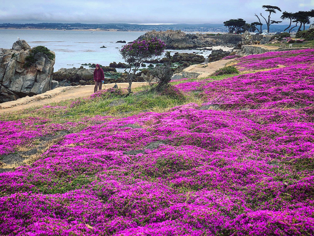 Monterey, California