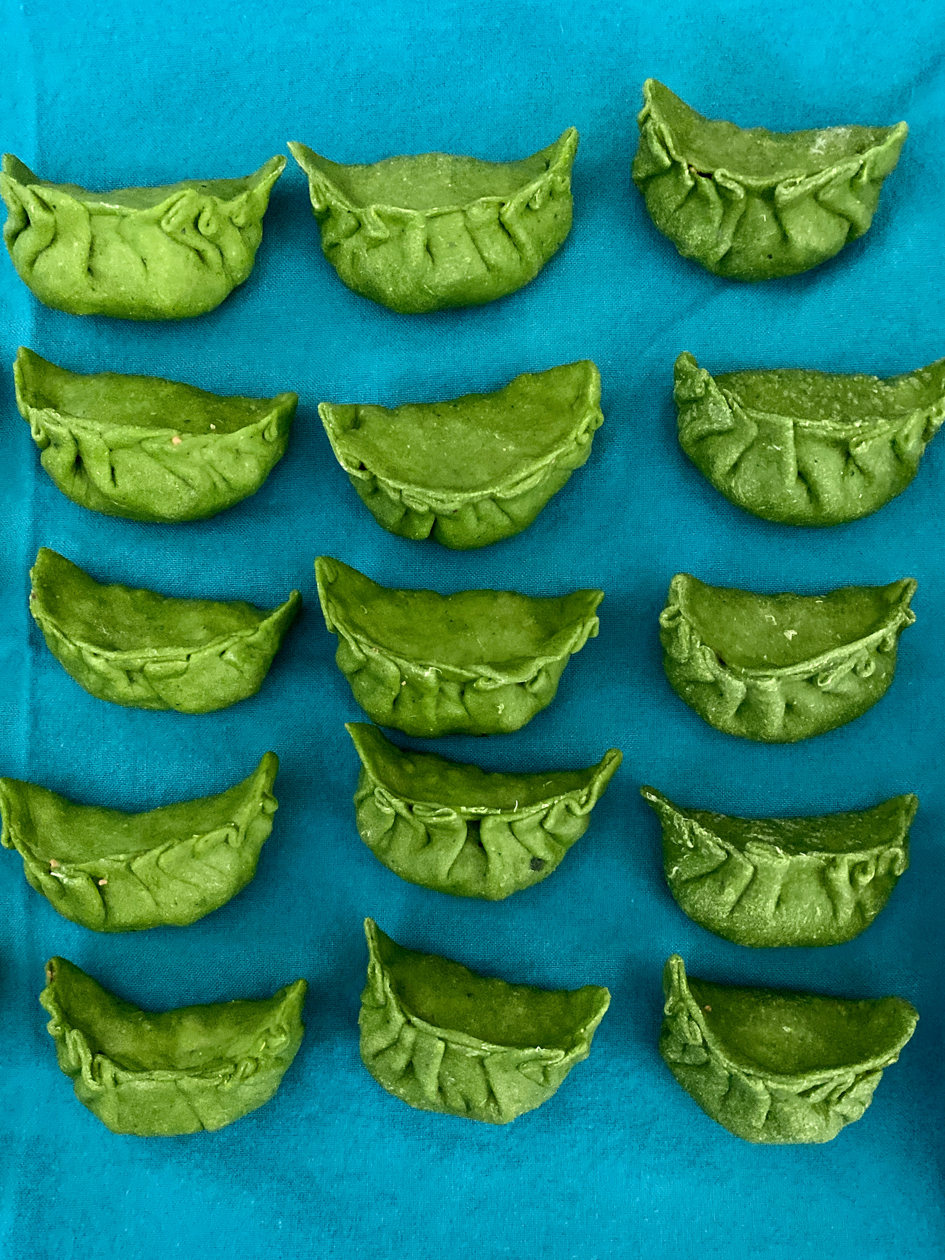 Veggie dumplings with homemade spinach wrappers