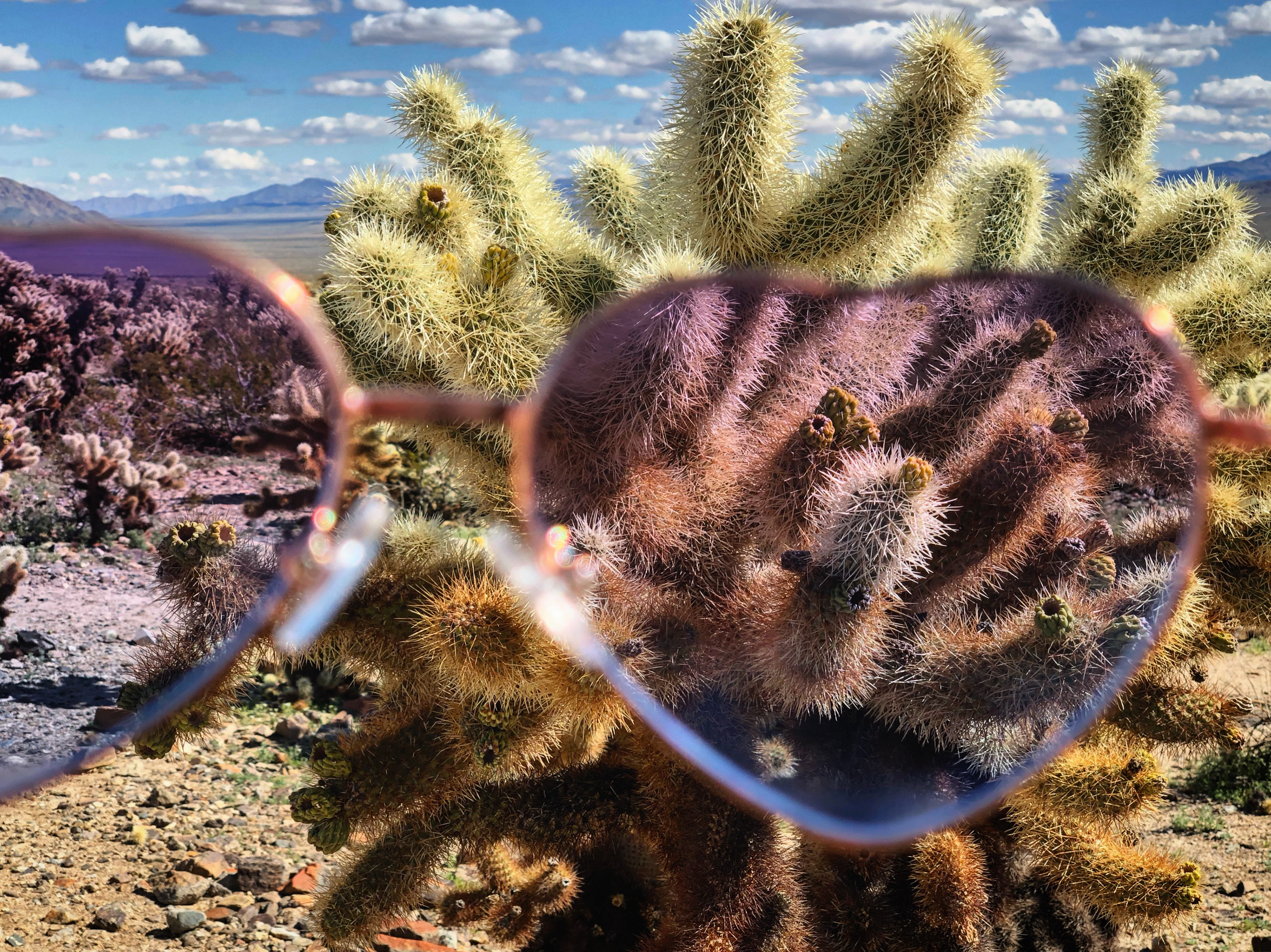 Joshua Tree, California