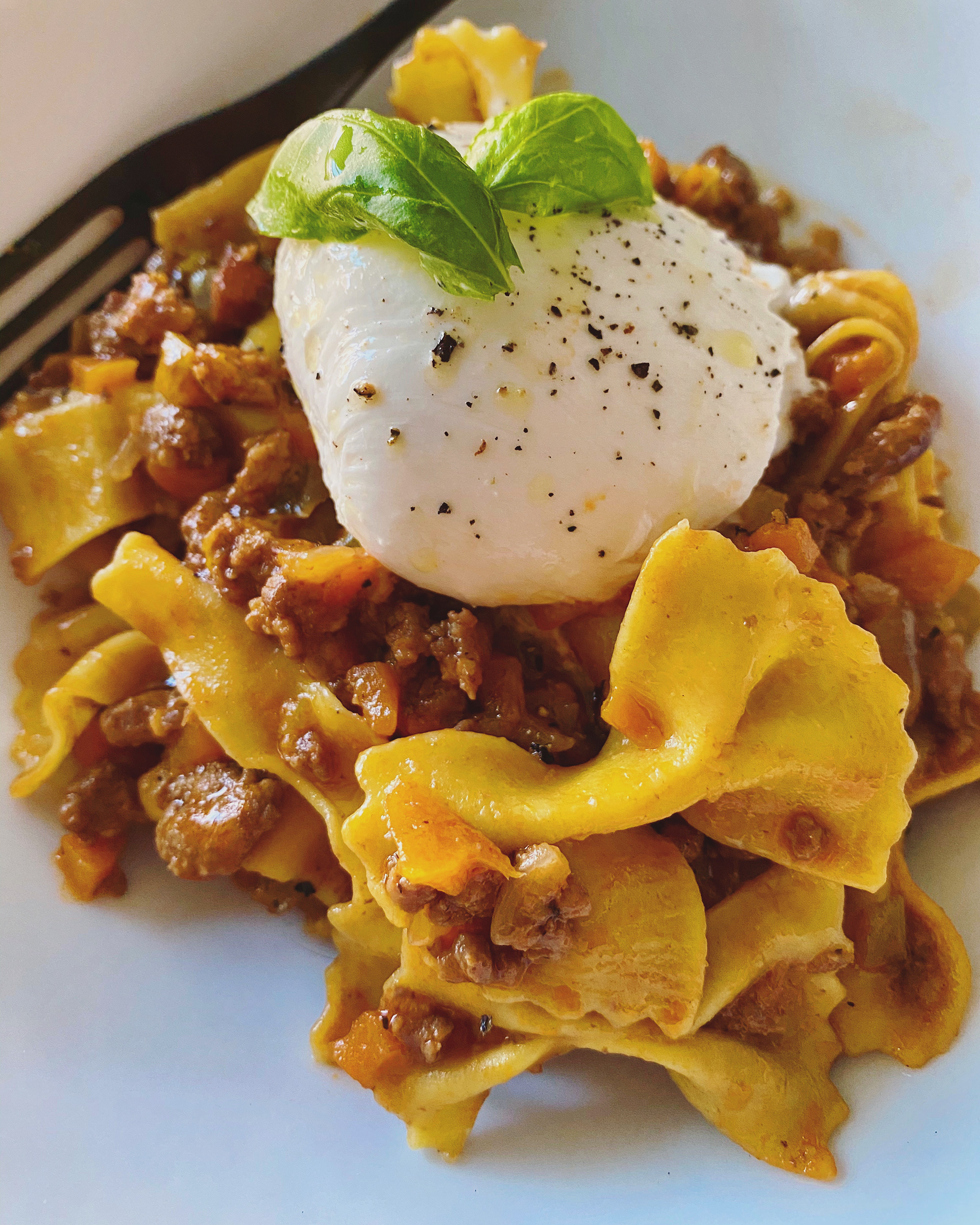 Bolognese
