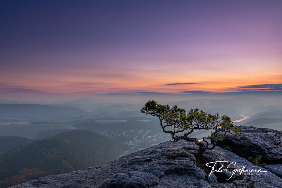 Wetterkiefer, Saxon Switzerland
