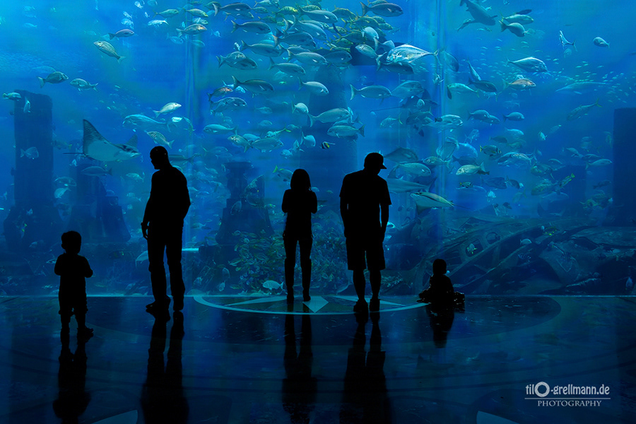 Aquarium