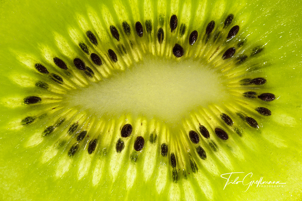macro photo of a kiwi