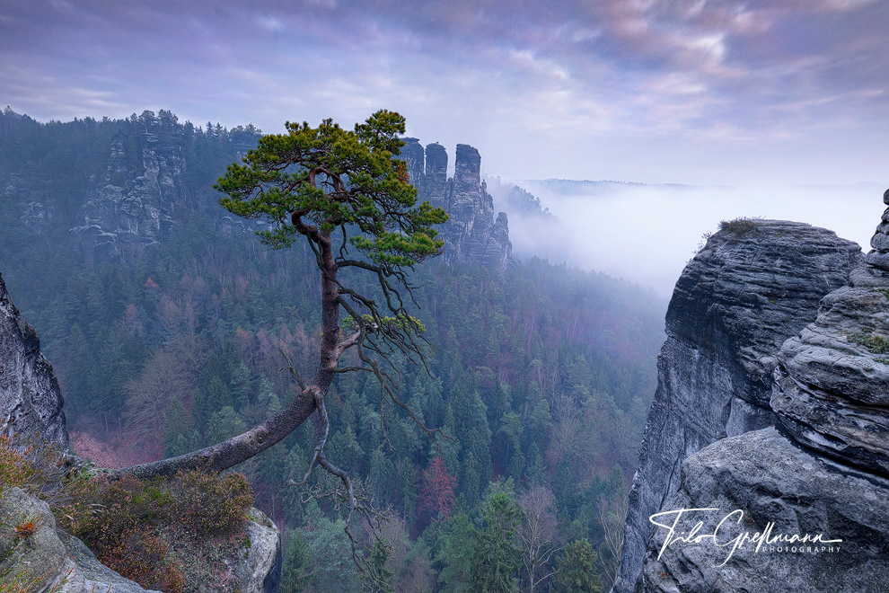 Saxon Switzerland