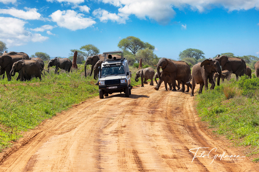 Tarangire National Park