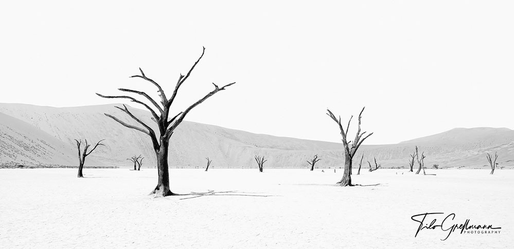 Deadvlei, Namibia