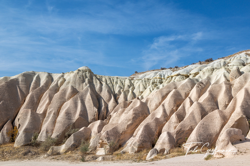 Rose Valley