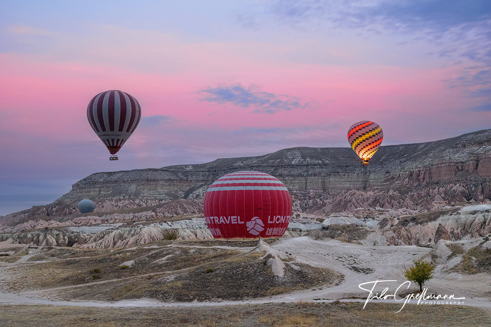 Hot air balloons over the Rose Valley