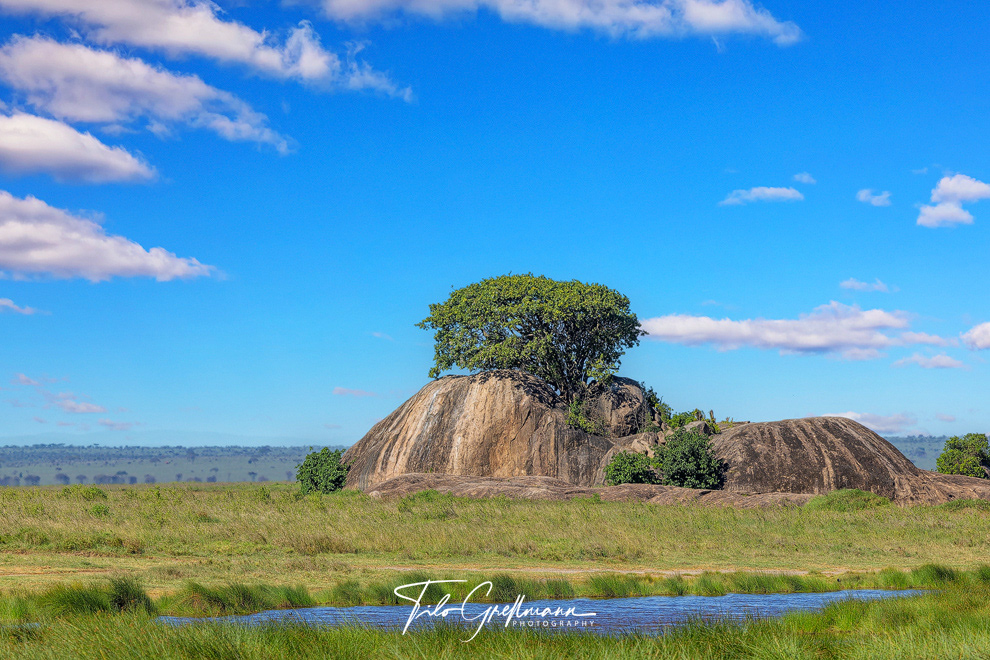 Kopjes in der Serengeti 