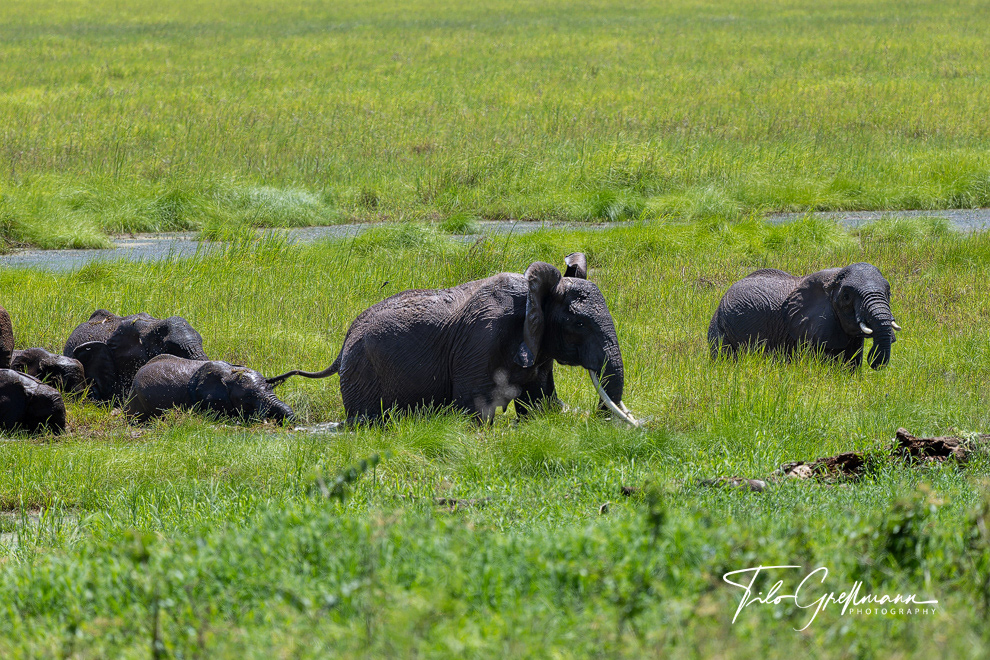 Tarangire National Park