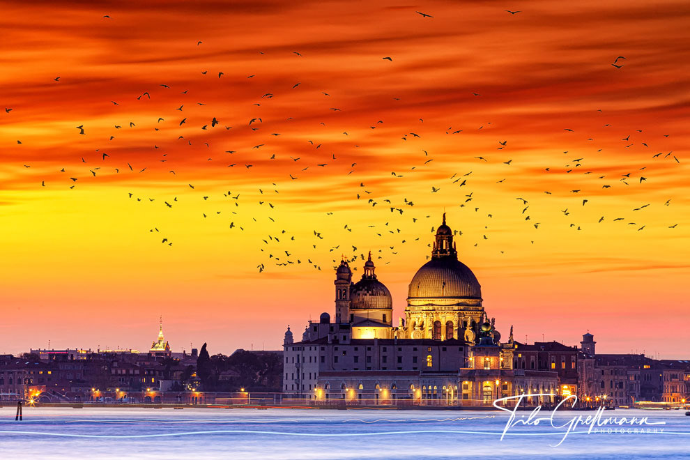 Venice - Santa Maria della Salute