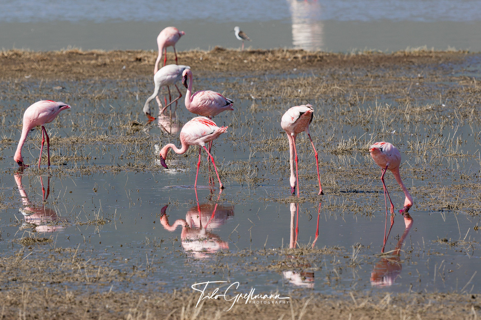 Ngorongoro Crater