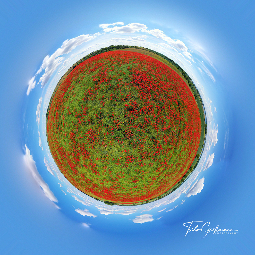 Kugelpanorama Mohnfeld