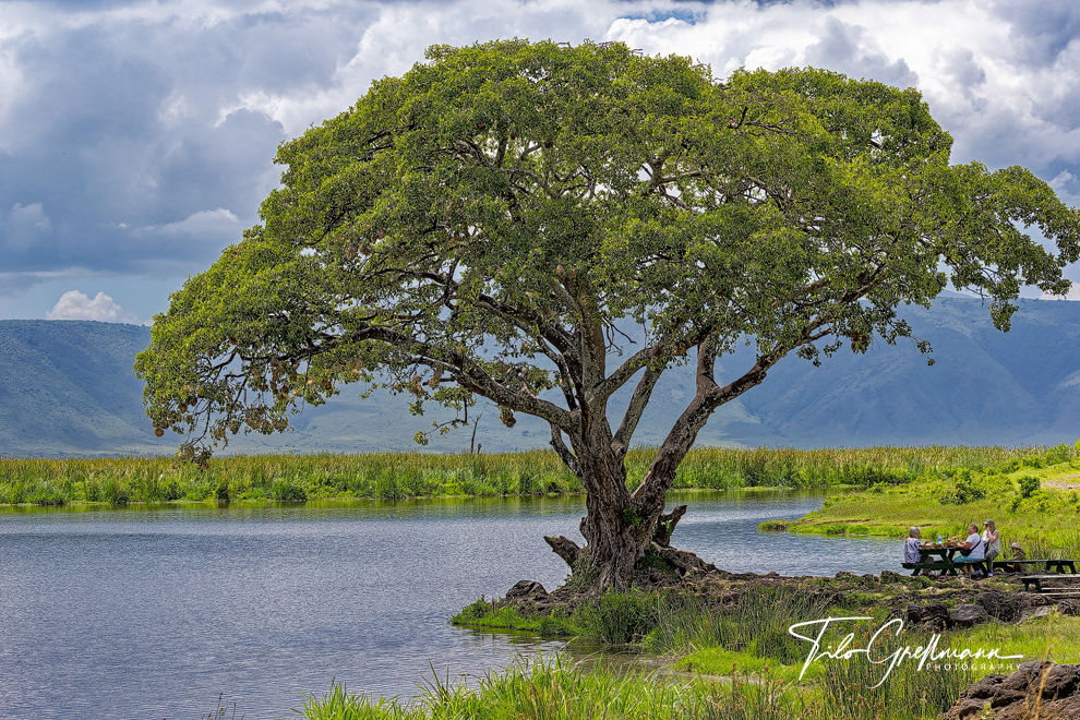 Ngorongoro Crater