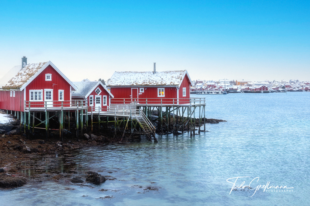 Reine