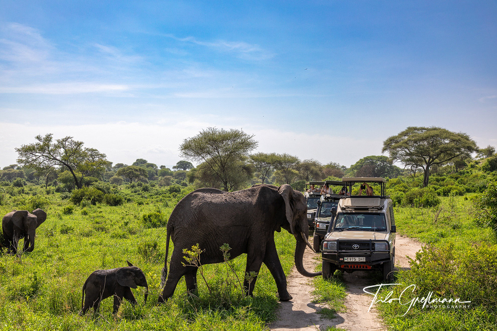 Tarangire National Park