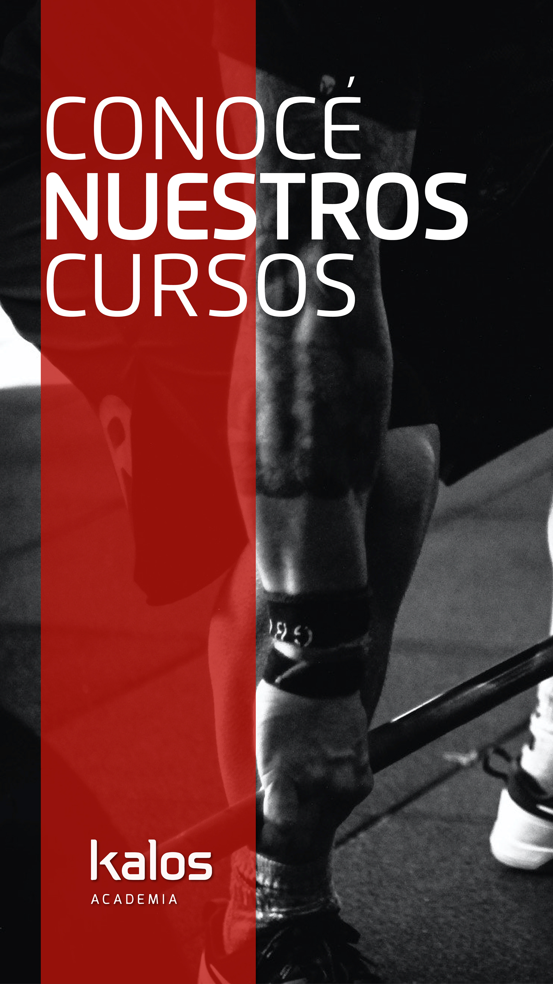 Advertising & Design