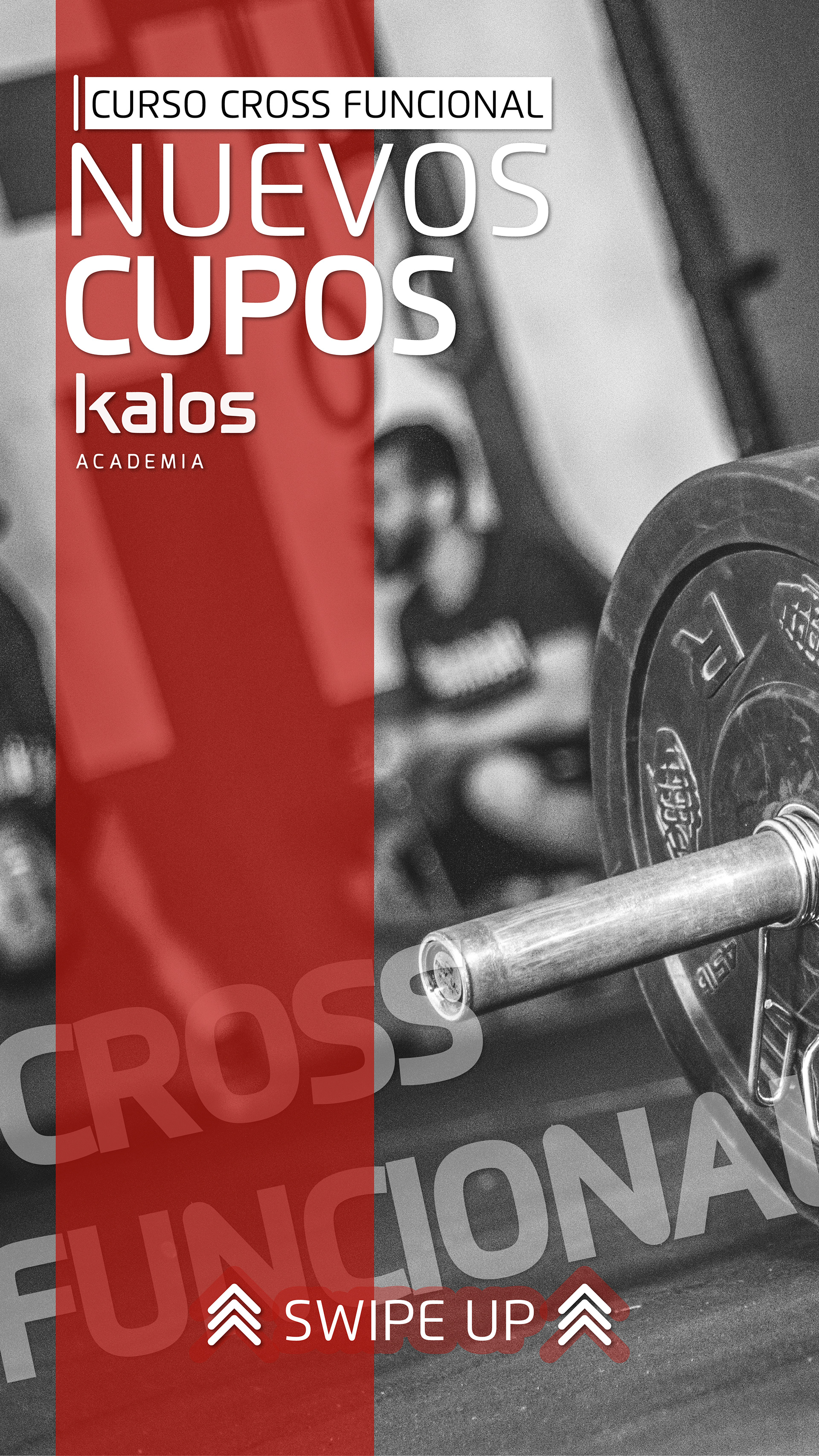 Advertising & Design