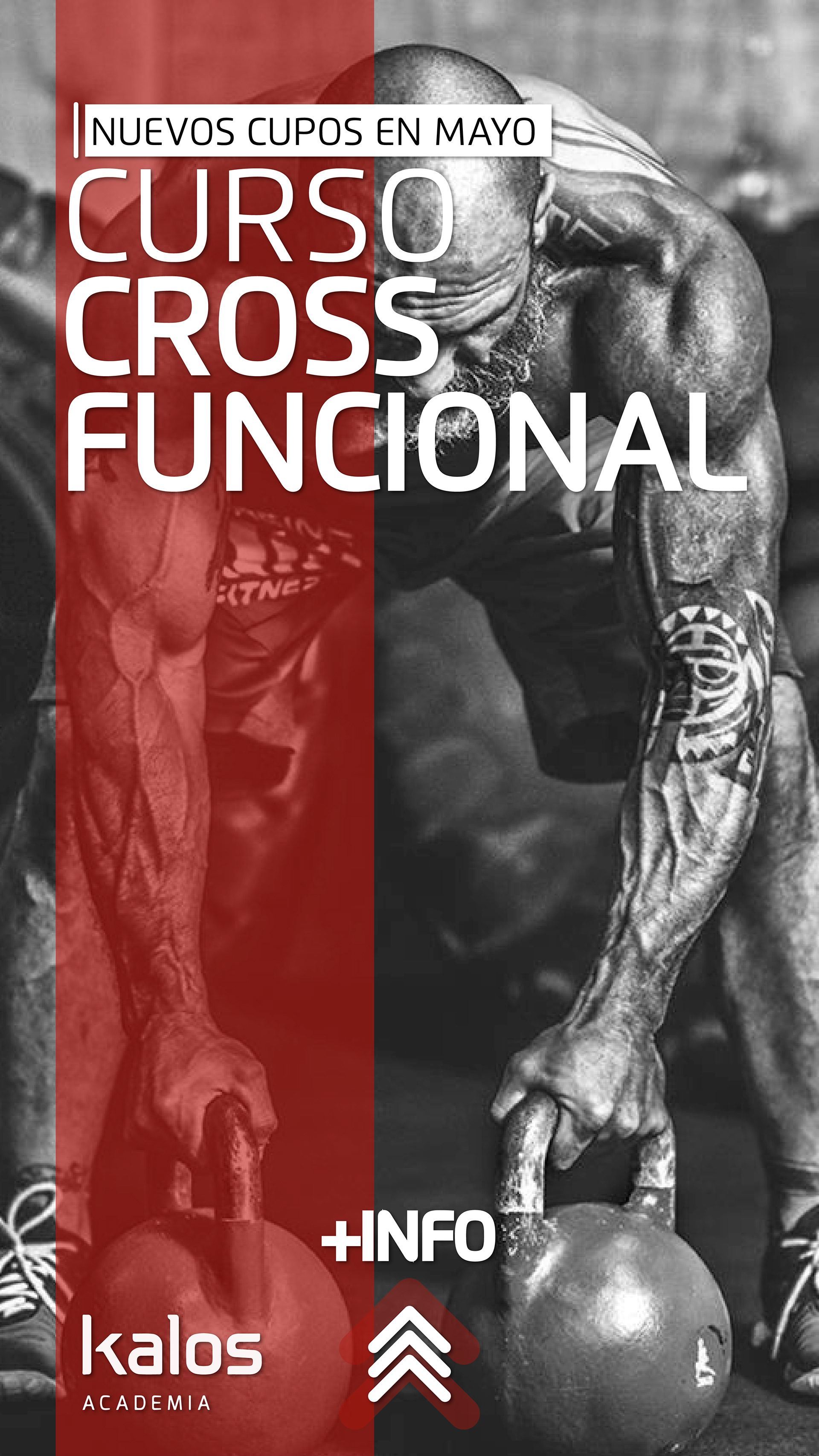 Advertising & Design