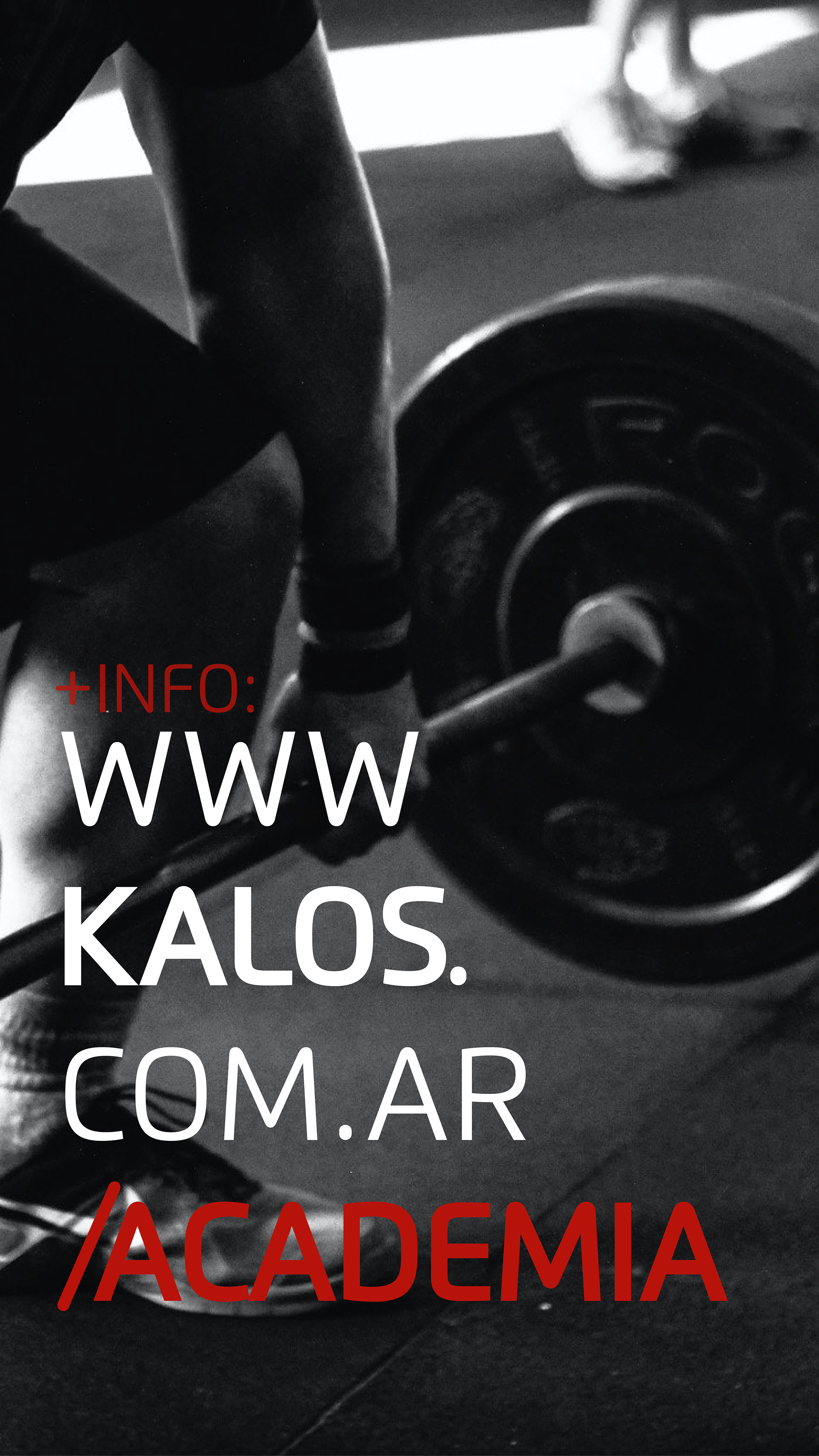 Advertising & Design