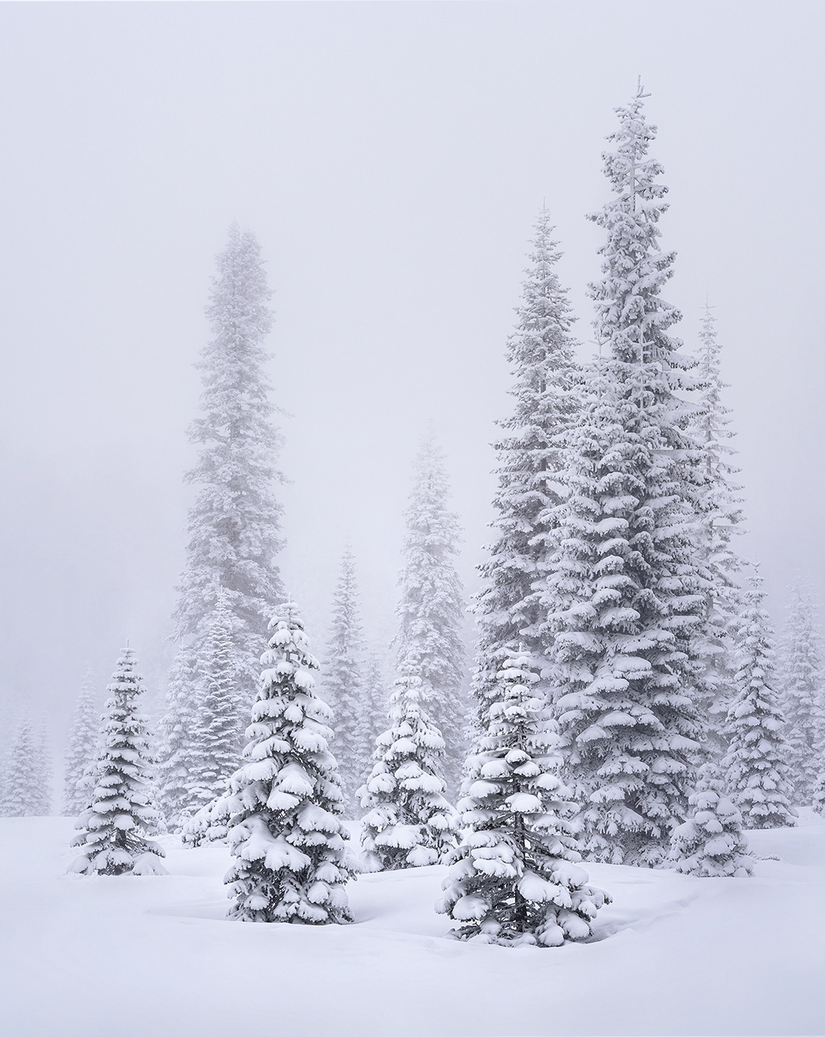 Mt. Shasta Wilderness, CA, USA