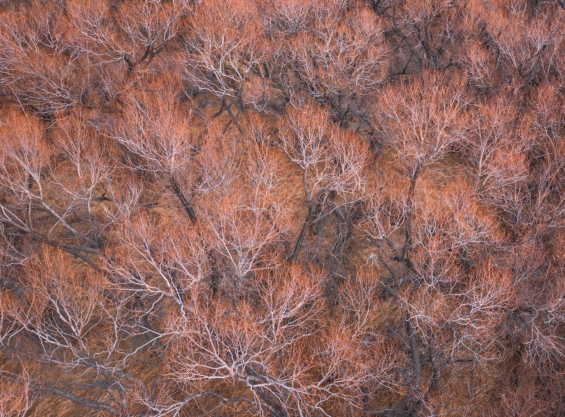 Eastern Sierra, CA, USA