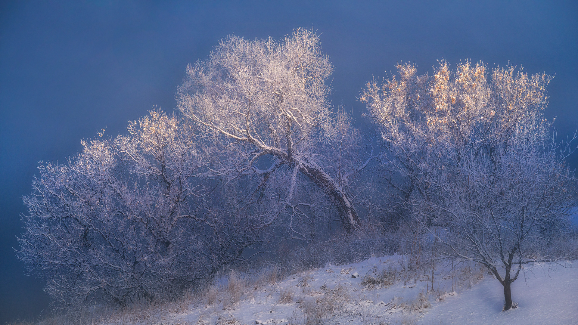 First light - Photograph by Sam Post
