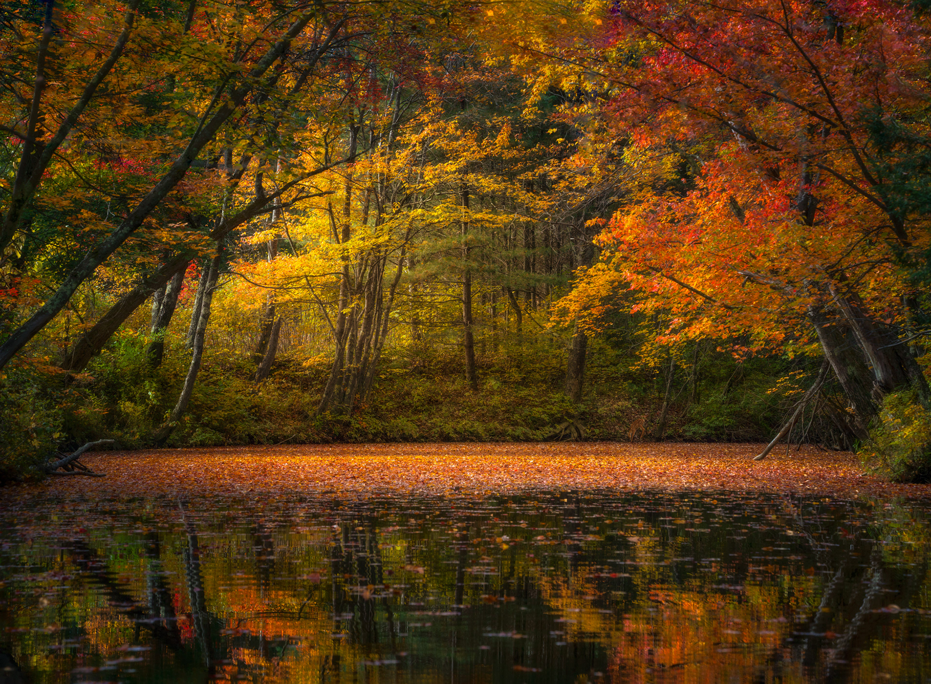 VT, USA
