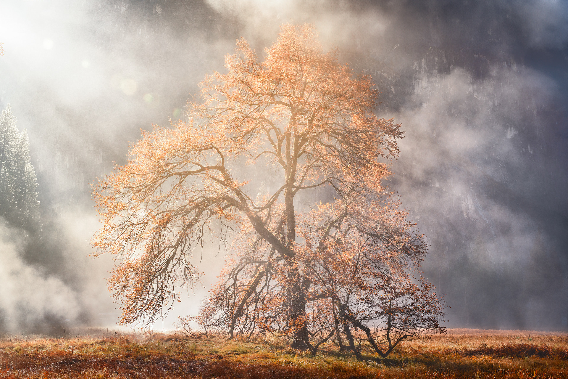 Yosemite Valley, CA, USA