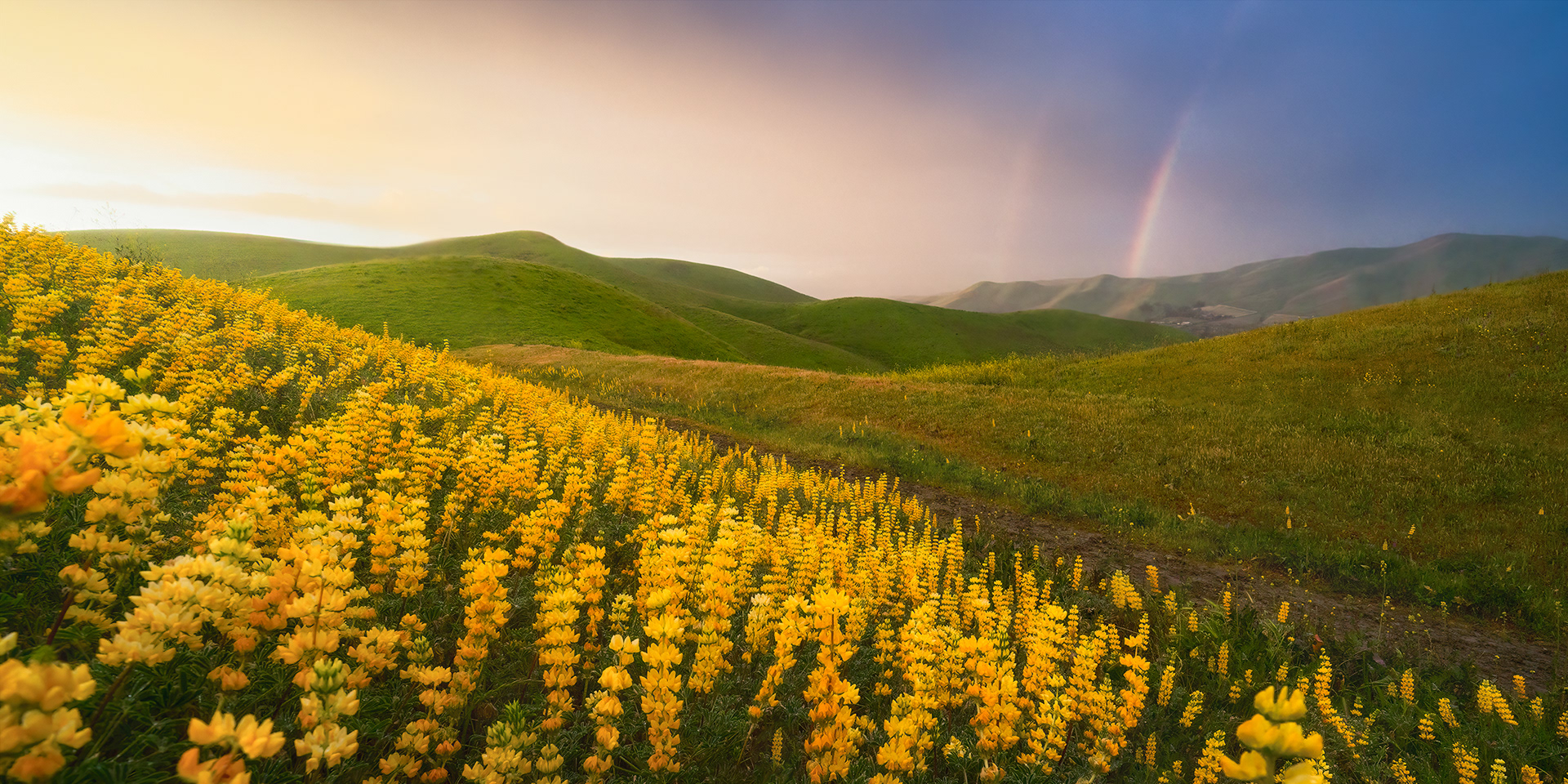 Northern California, USA