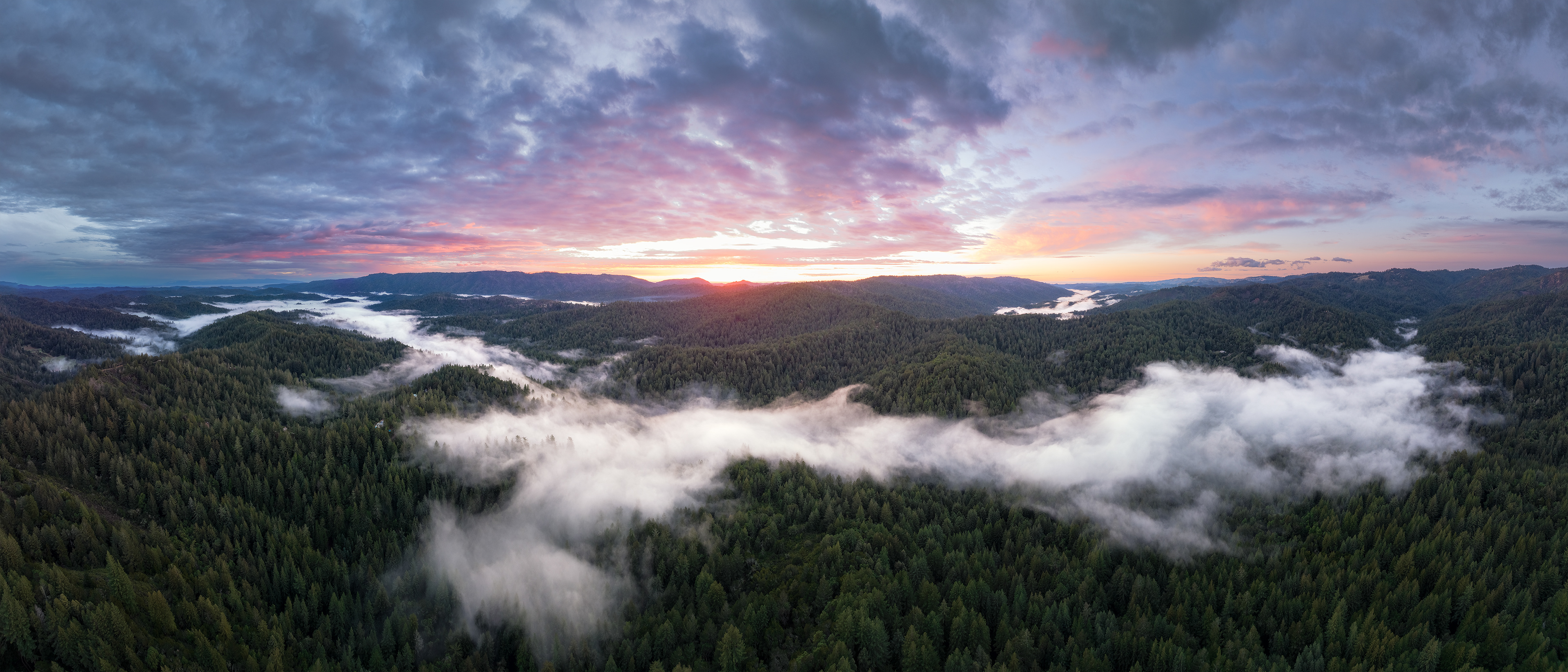 Santa Cruz Mountains, CA, USA