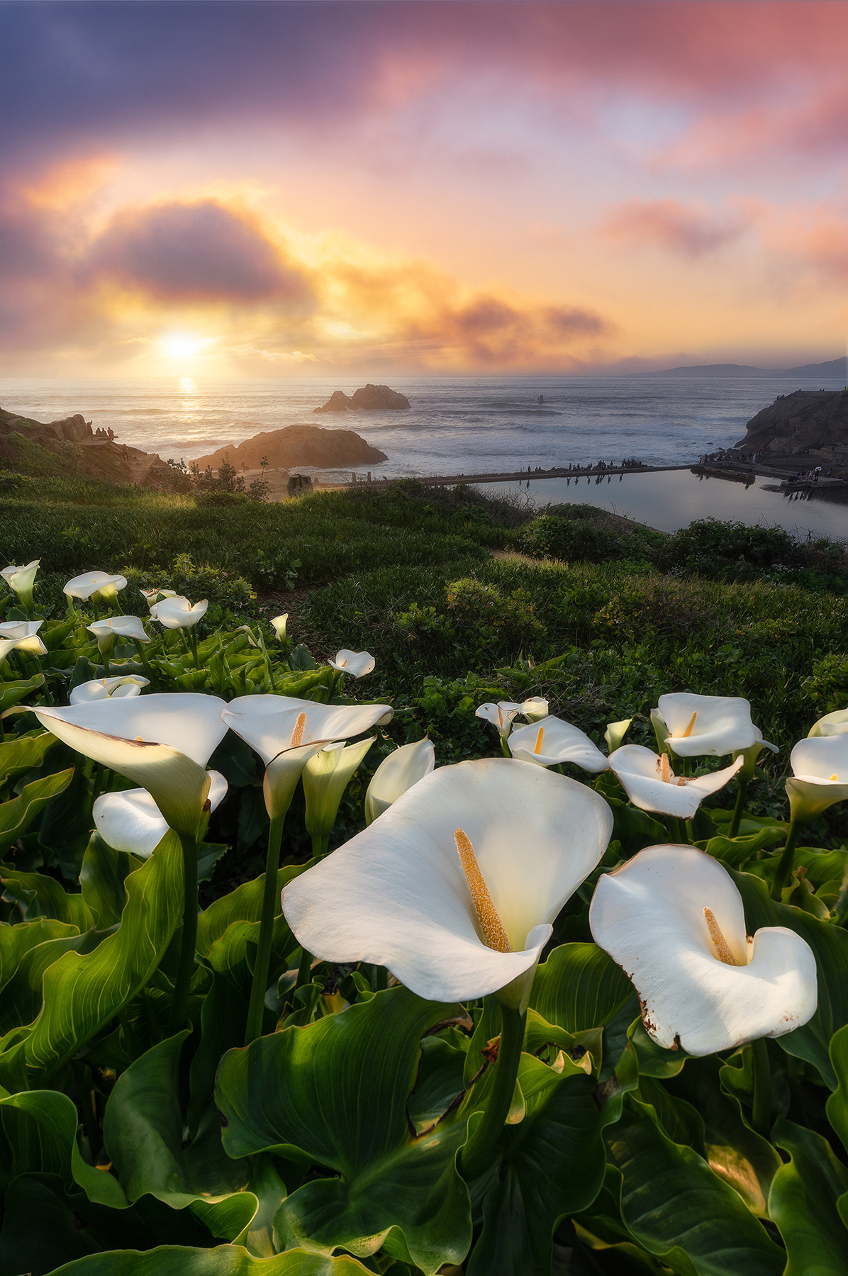 San Francisco, CA, USA