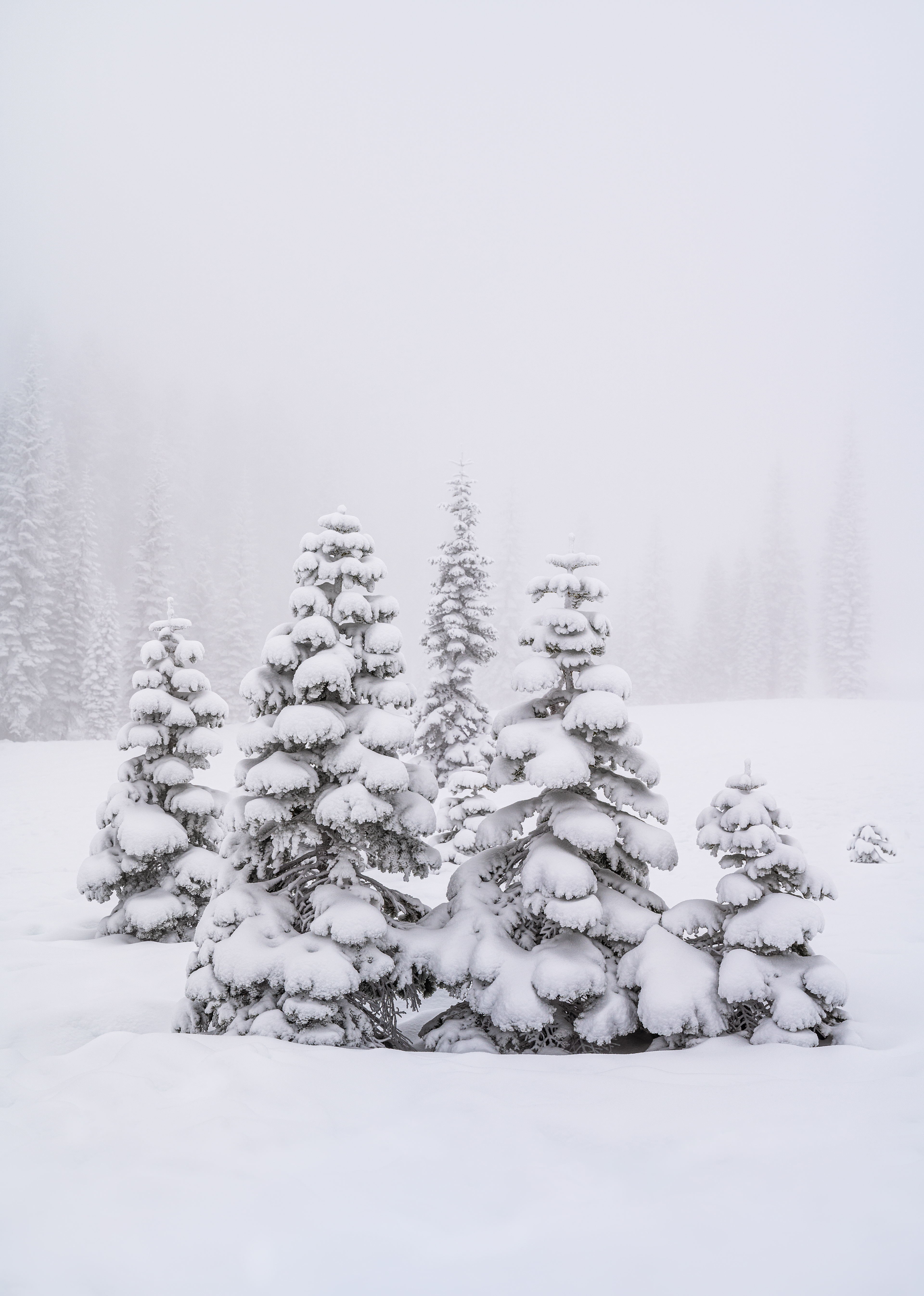 Northern California, USA