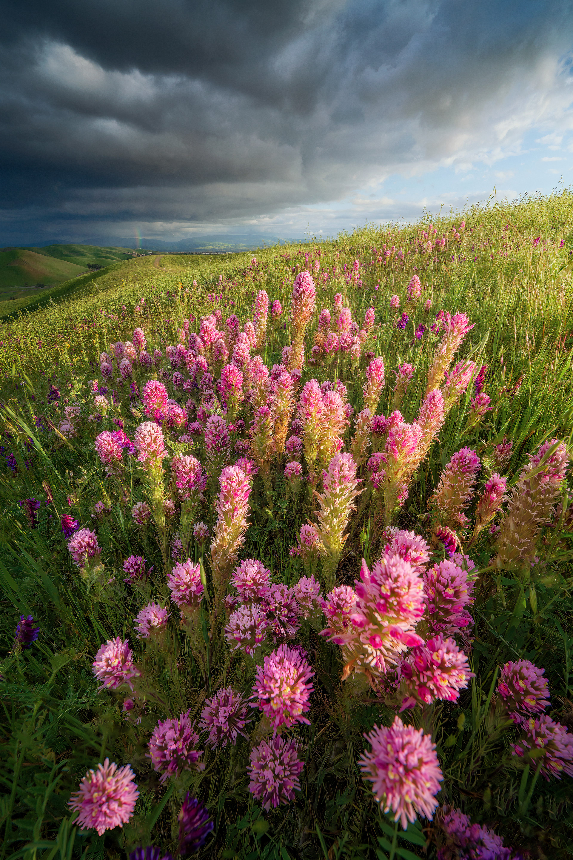 Northern California, USA