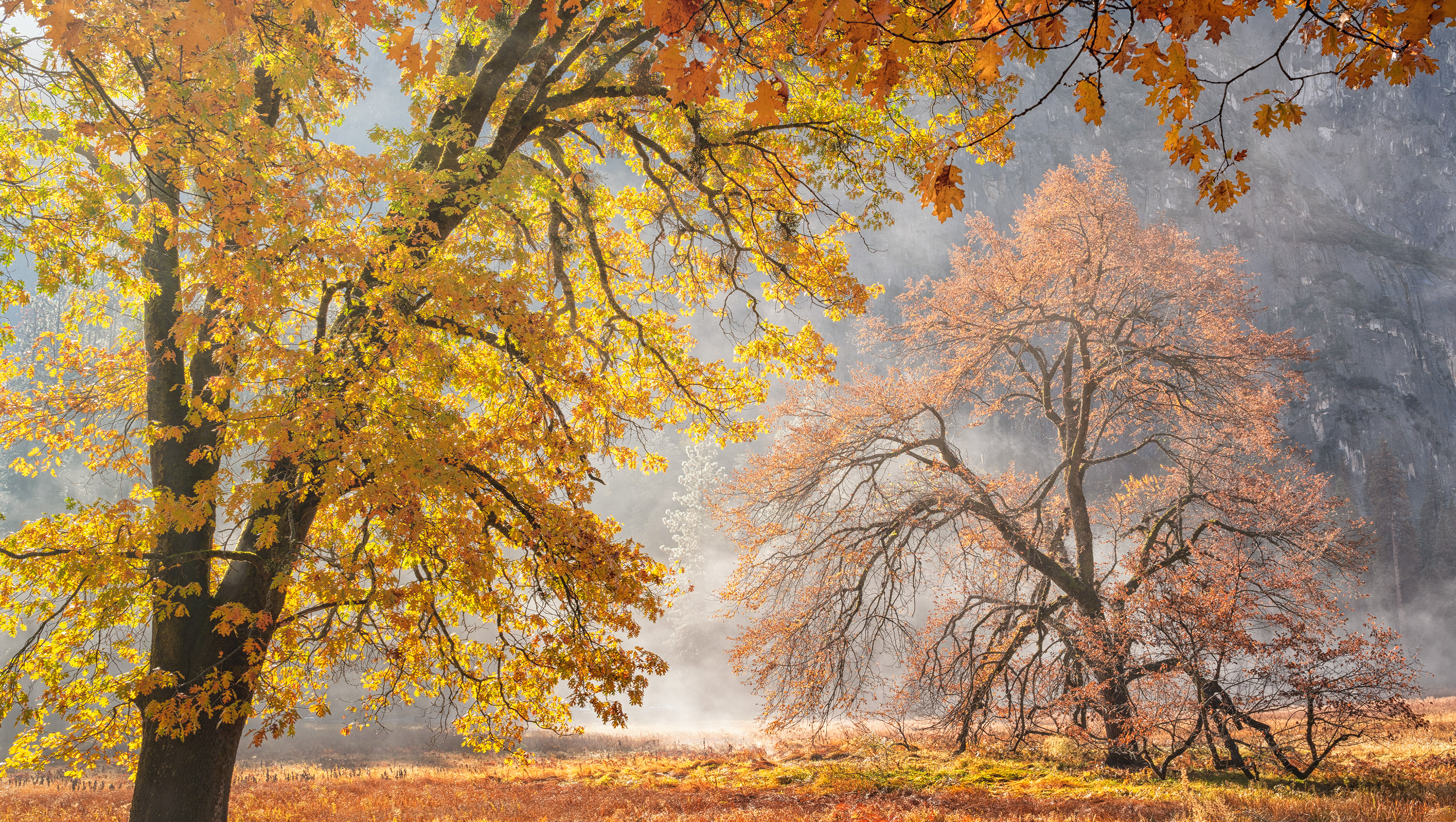 Yosemite National Park, CA, USA