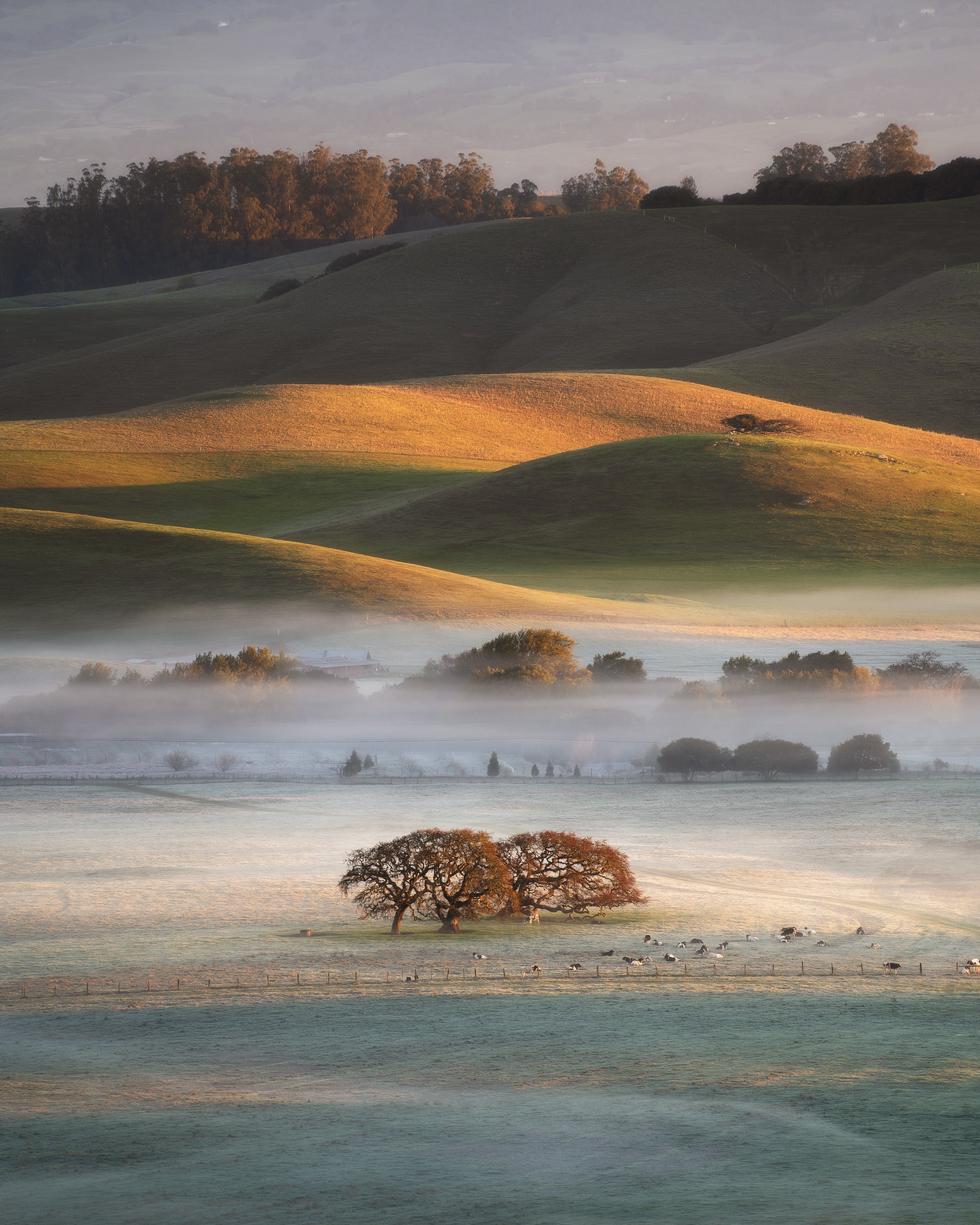Northern California, USA