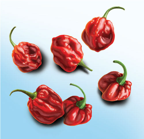 Nobs Packaging