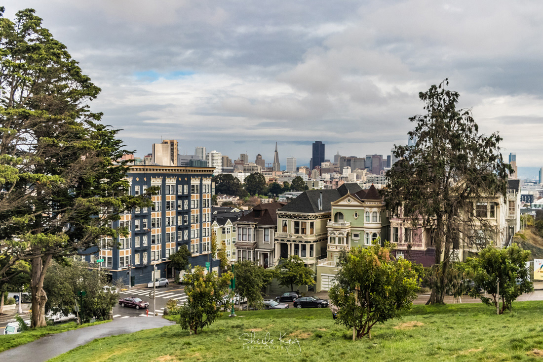 Painted Ladies of San Francisco